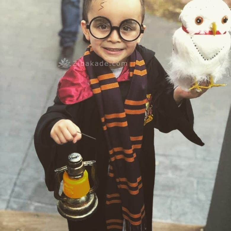 تم تولد هری پاتر - Harry Potter